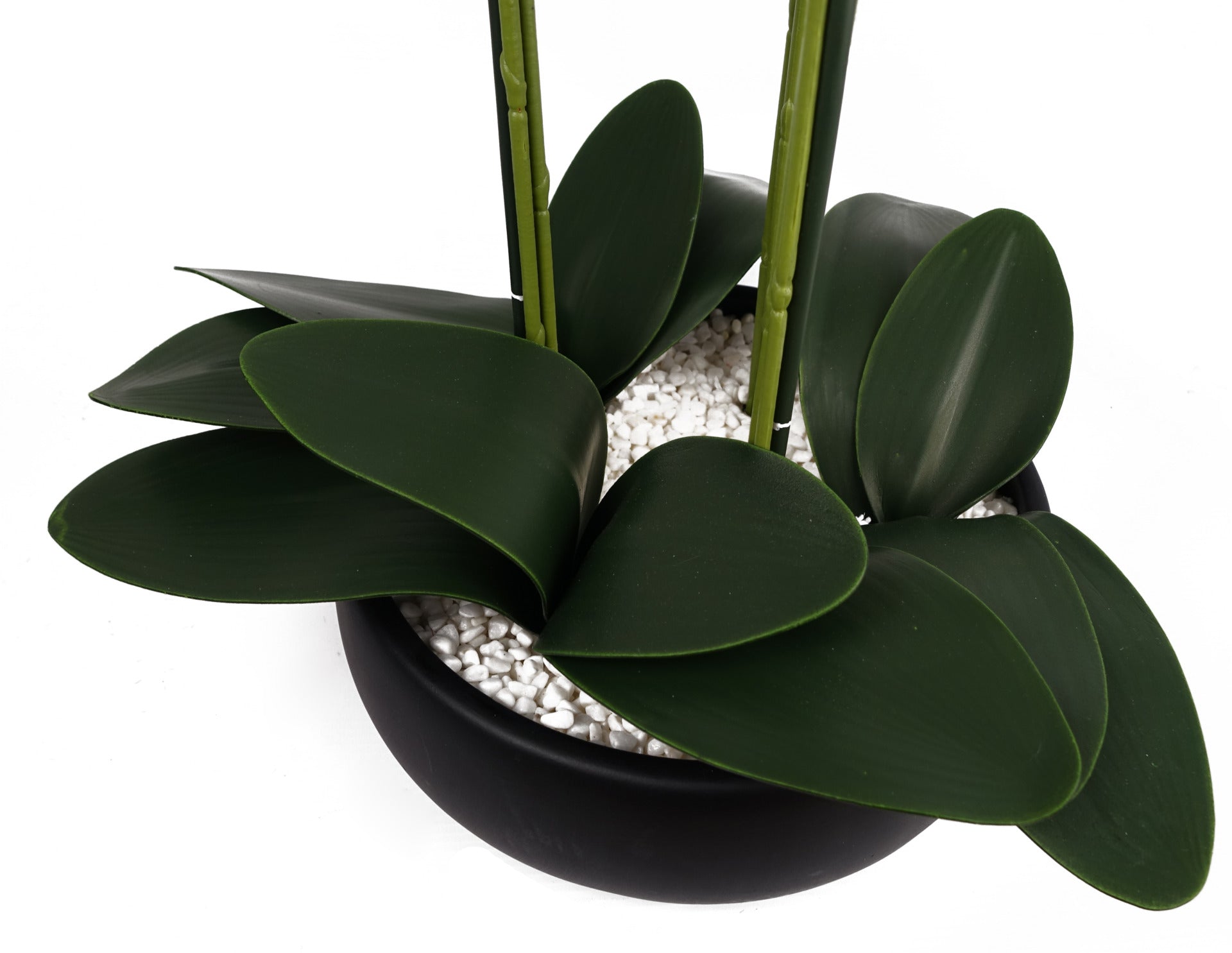 60cm Orchid Artificial Yellow - Black Ceramic Planter