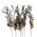 Pack of 6 x 85cm Artificial Dark Berry Stem