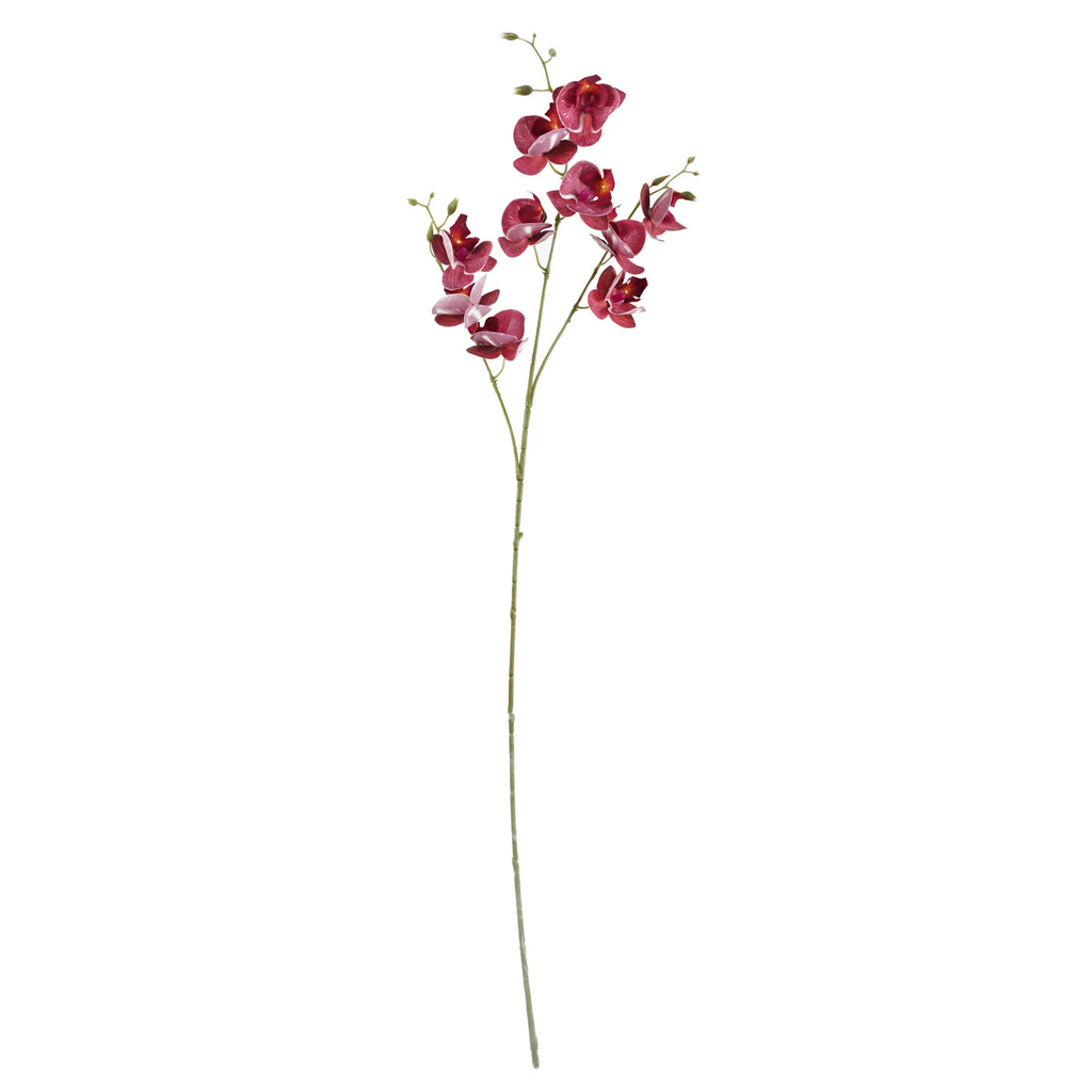 50cm Pretty Pink Dahlia Display Glass Vase