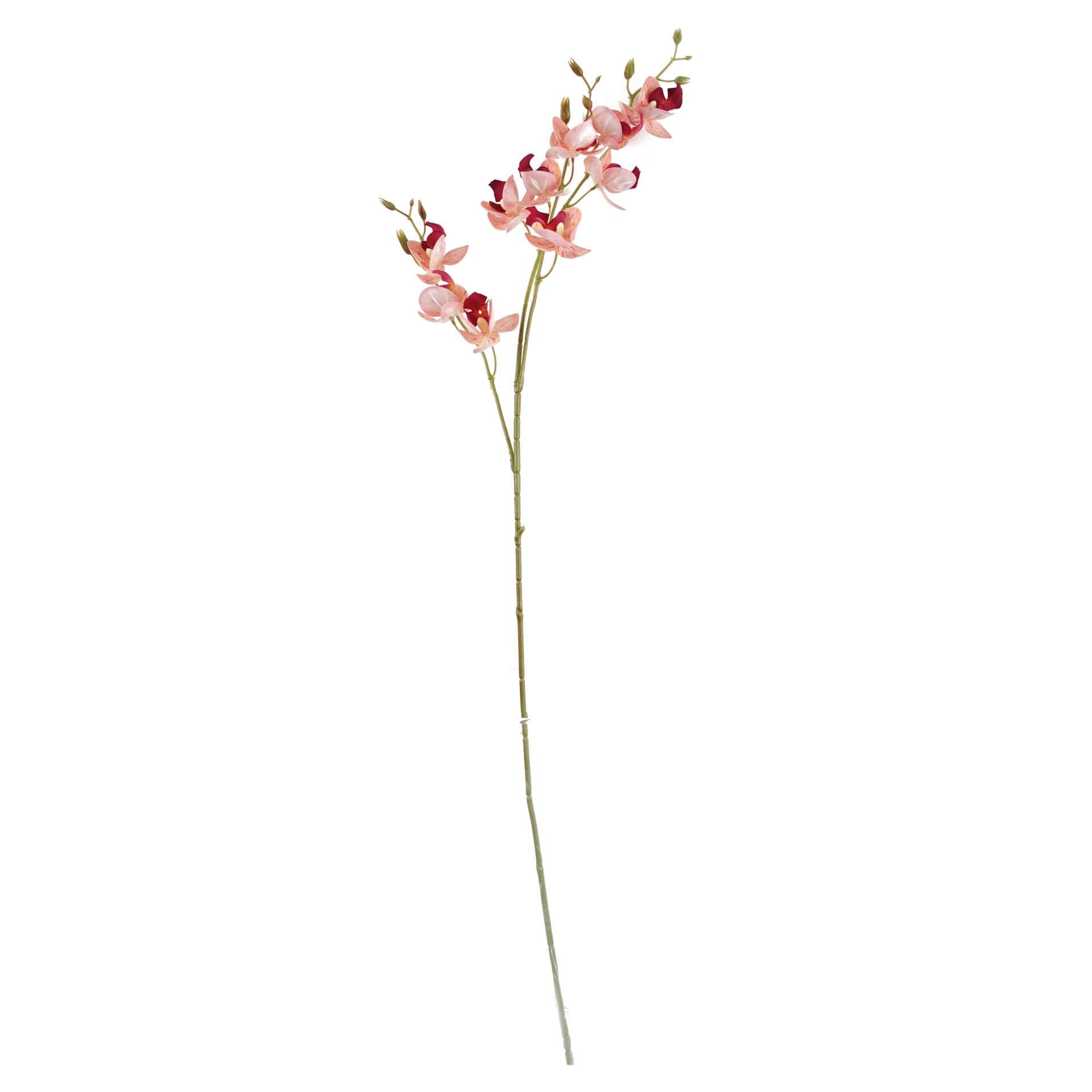 80cm Gold Palm and Peony Glass Vase