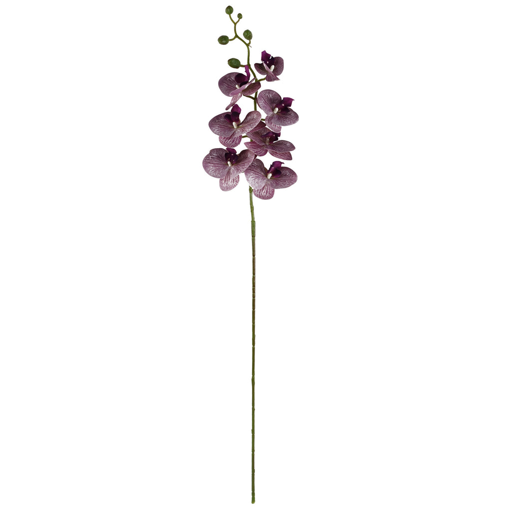 80cm Amethyst Vase Artificial Orchids and  Foliage