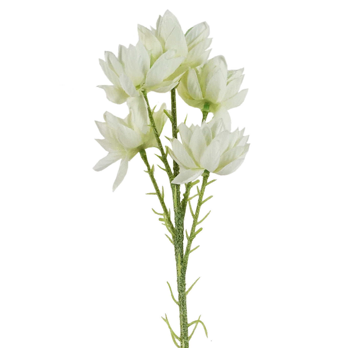 Pack of 6 x 60cm White Starflower Stem - 30 Flowers