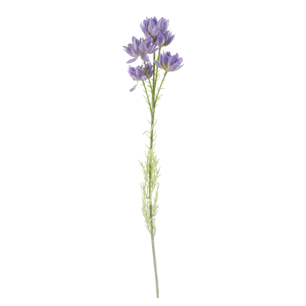 60cm Purple Starflower Stem - 5 Flowers