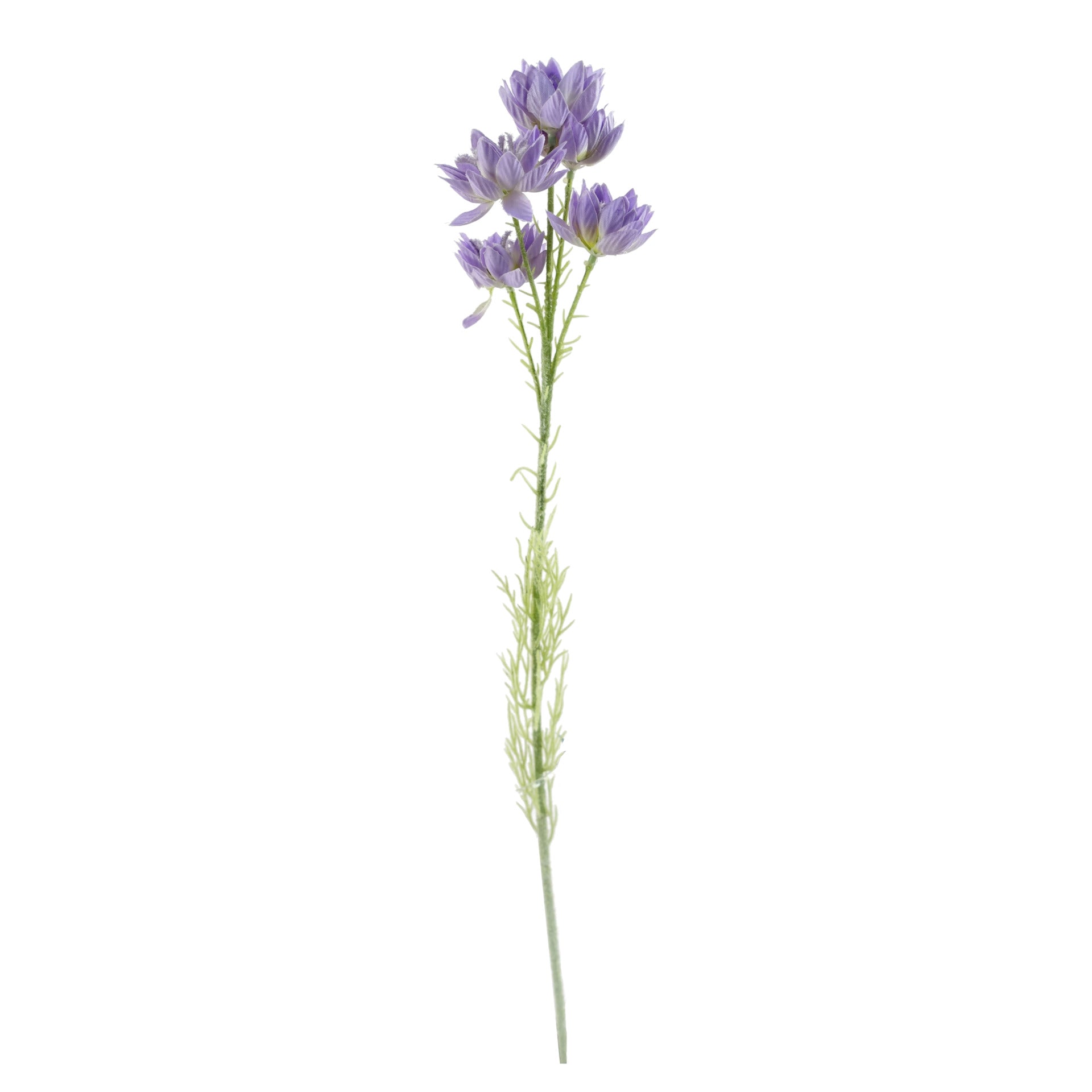 60cm Purple Starflower Stem - 5 Flowers