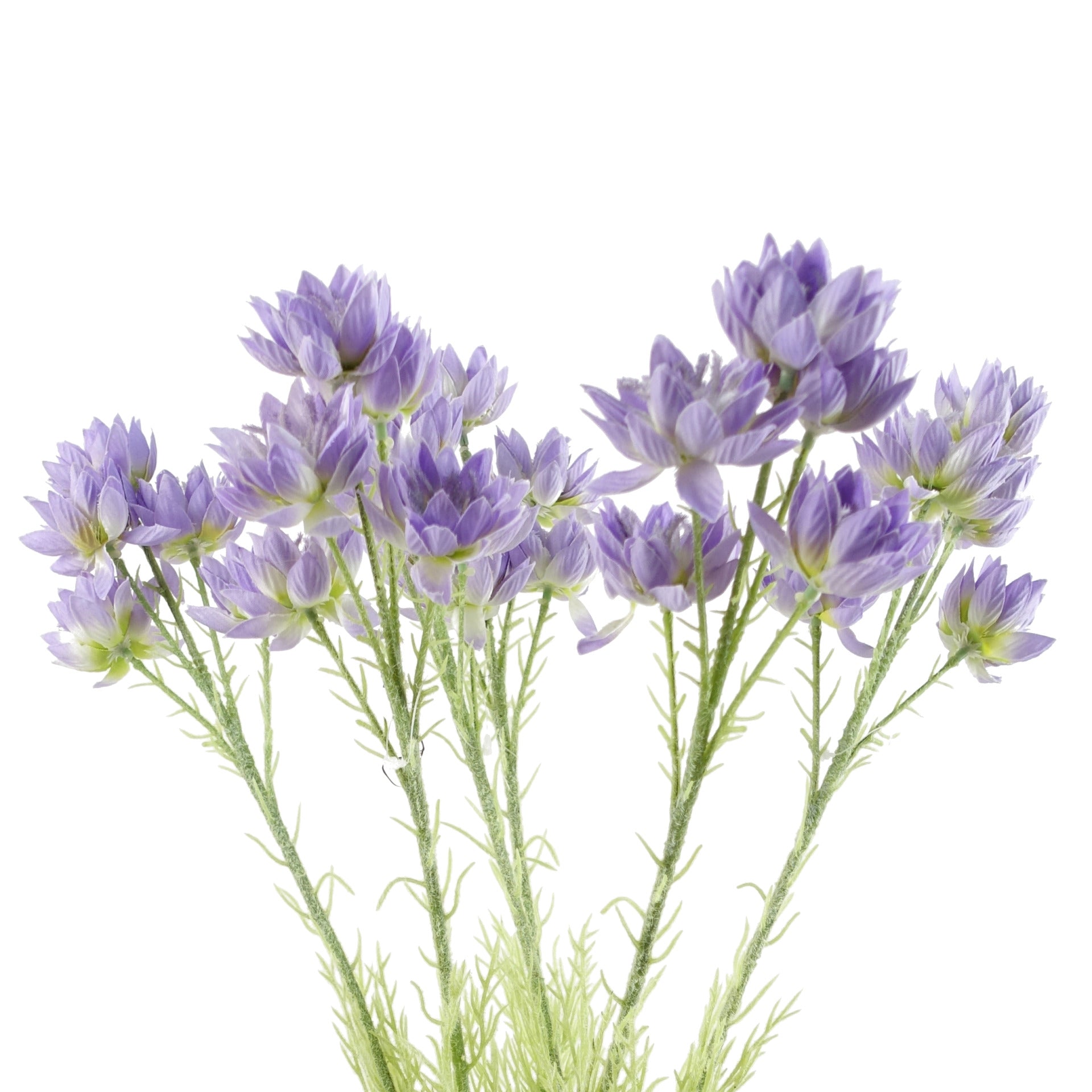 Pack of 6 x 60cm Purple Starflower Stem - 30 Flowers