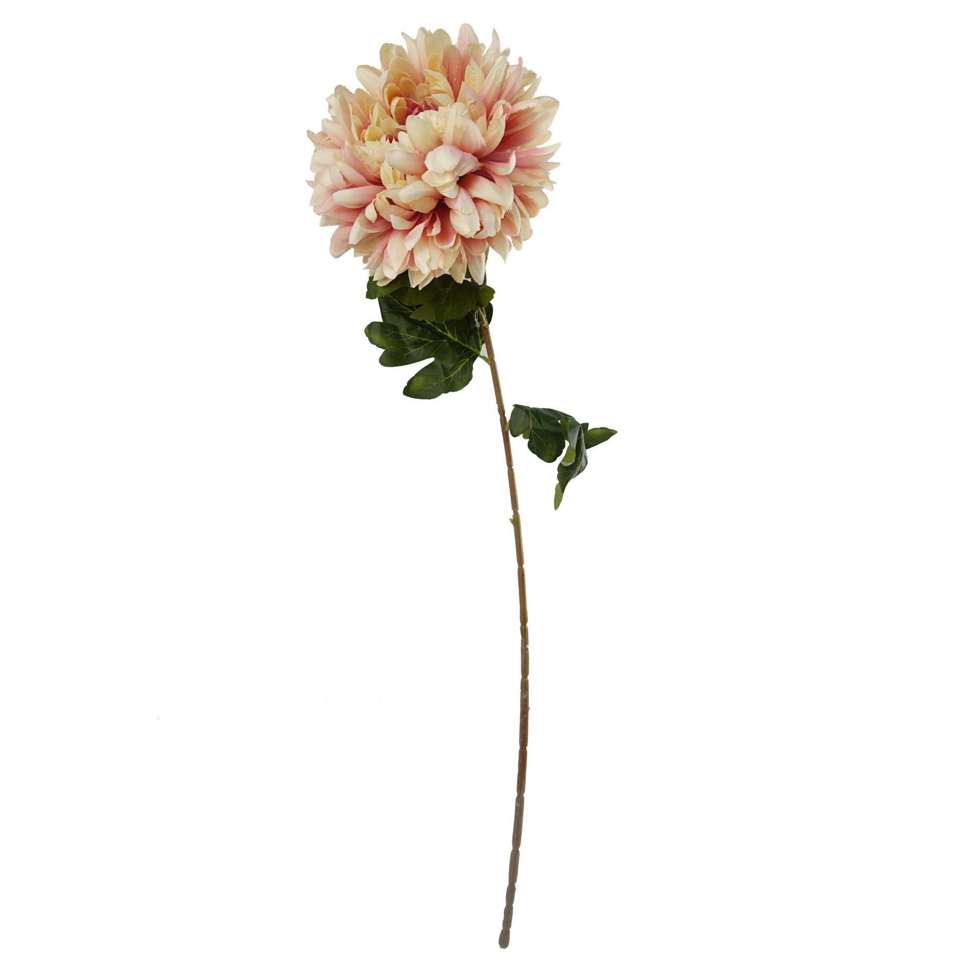 60cm Pink Chrysanthemum Display Glass Bubble Vase