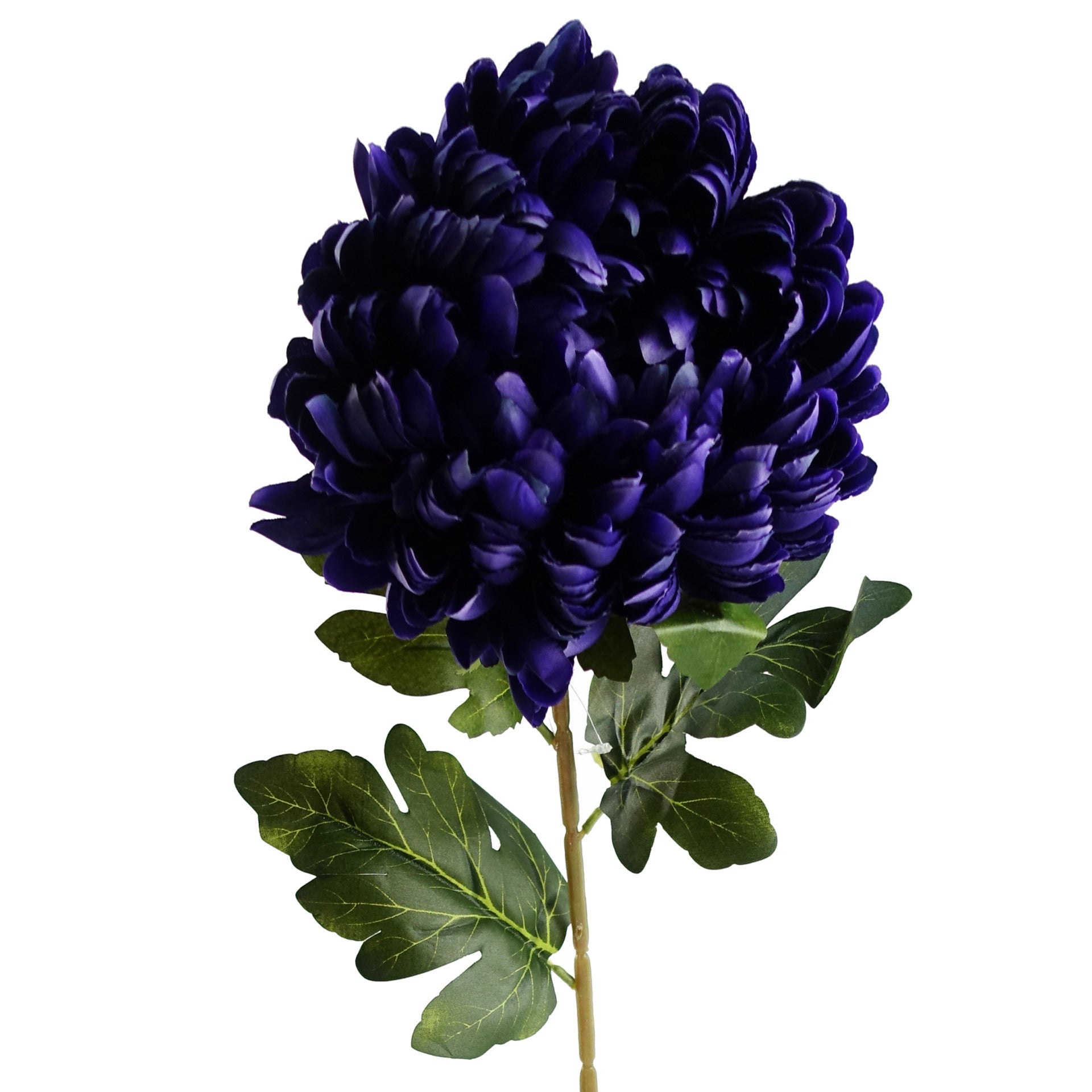 Pack of 6 x 75cm Extra Large Reflex Chrysanthemum - Purple