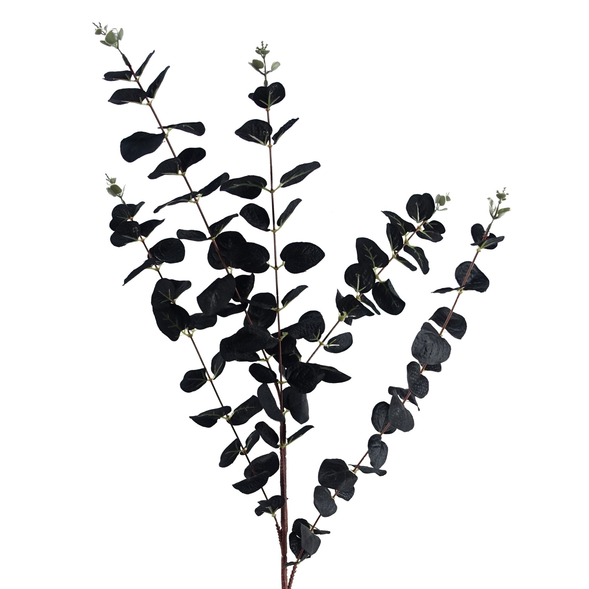 Pack of 6 x 80cm Black Eucalyptus Foliage Stem