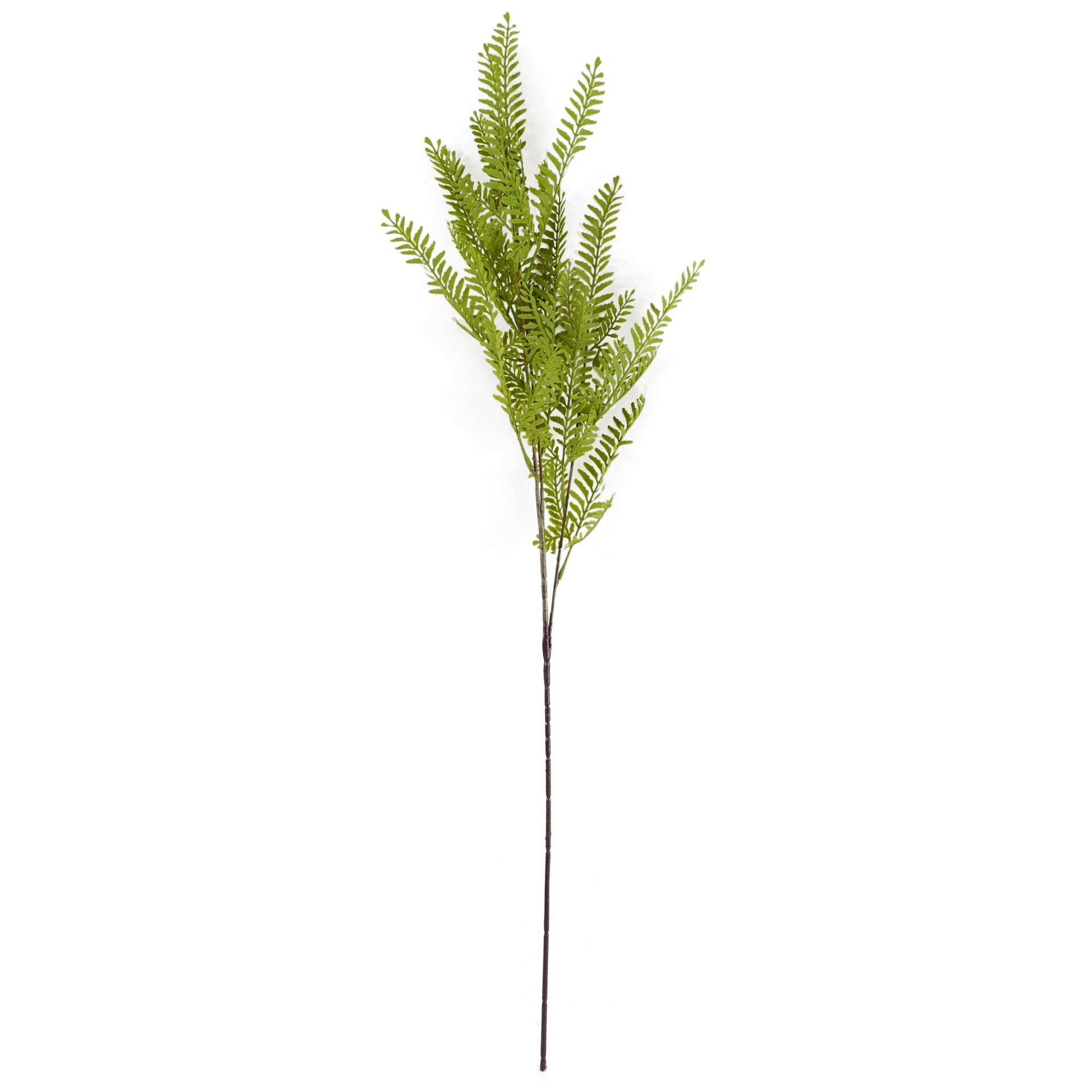 100cm Red Poppy and Fern Glass Vase