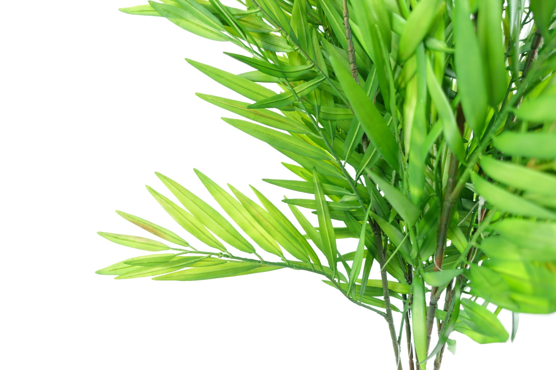 85cm Bamboo Fern Stem