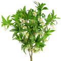 Pack of 6 x 90cm Artificial Hainan Elaeocarpus Stem