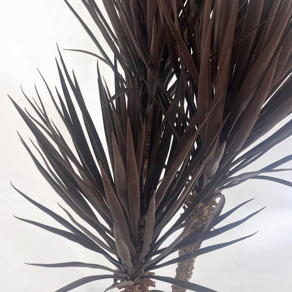 155cm Artificial UV Resistant XL Triple Yukka Tree Plant Spiky Tree Triple Dark