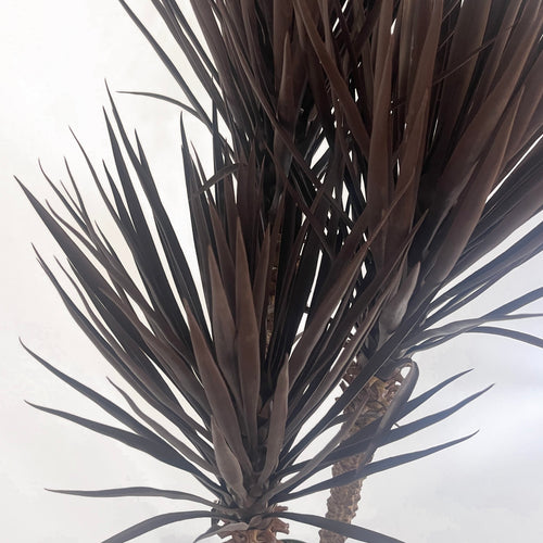 155cm Artificial UV Resistant XL Triple Yukka Tree Plant Spiky Tree Triple Dark