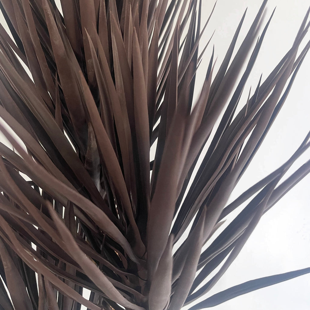155cm Artificial Yukka Tree Plant Spiky UV Resistant Outdoor Tree Triple Dark Red / Brown