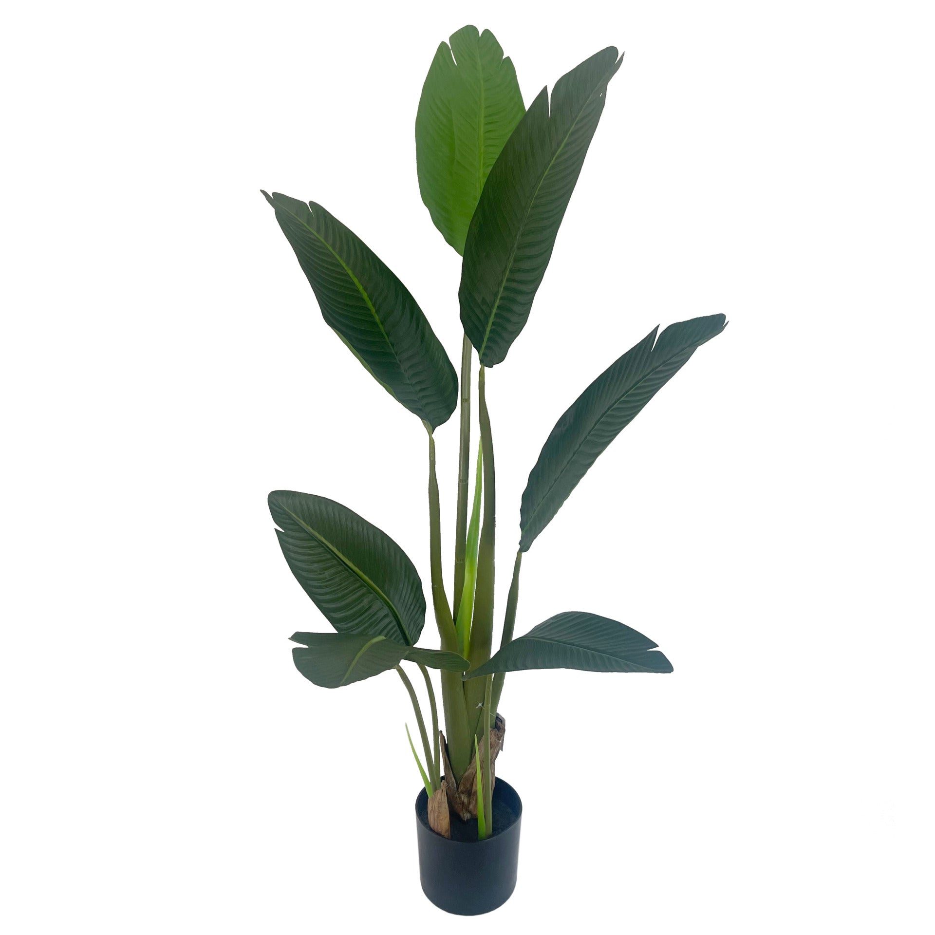 120cm UV Traveller Banana Palm Tree