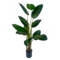 150cm UV Traveller Banana Palm Tree