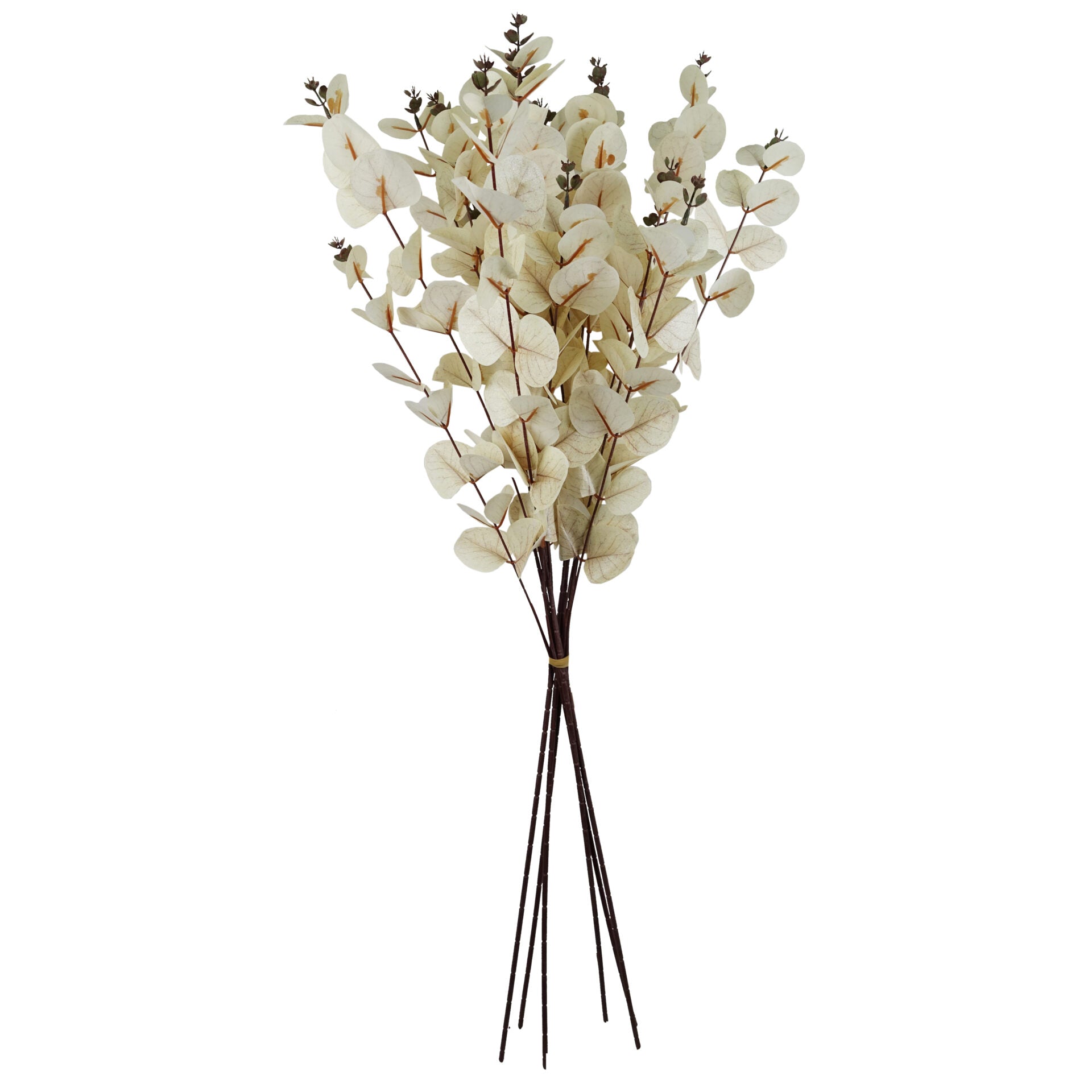 80cm White Eucalyptus Foliage Stem