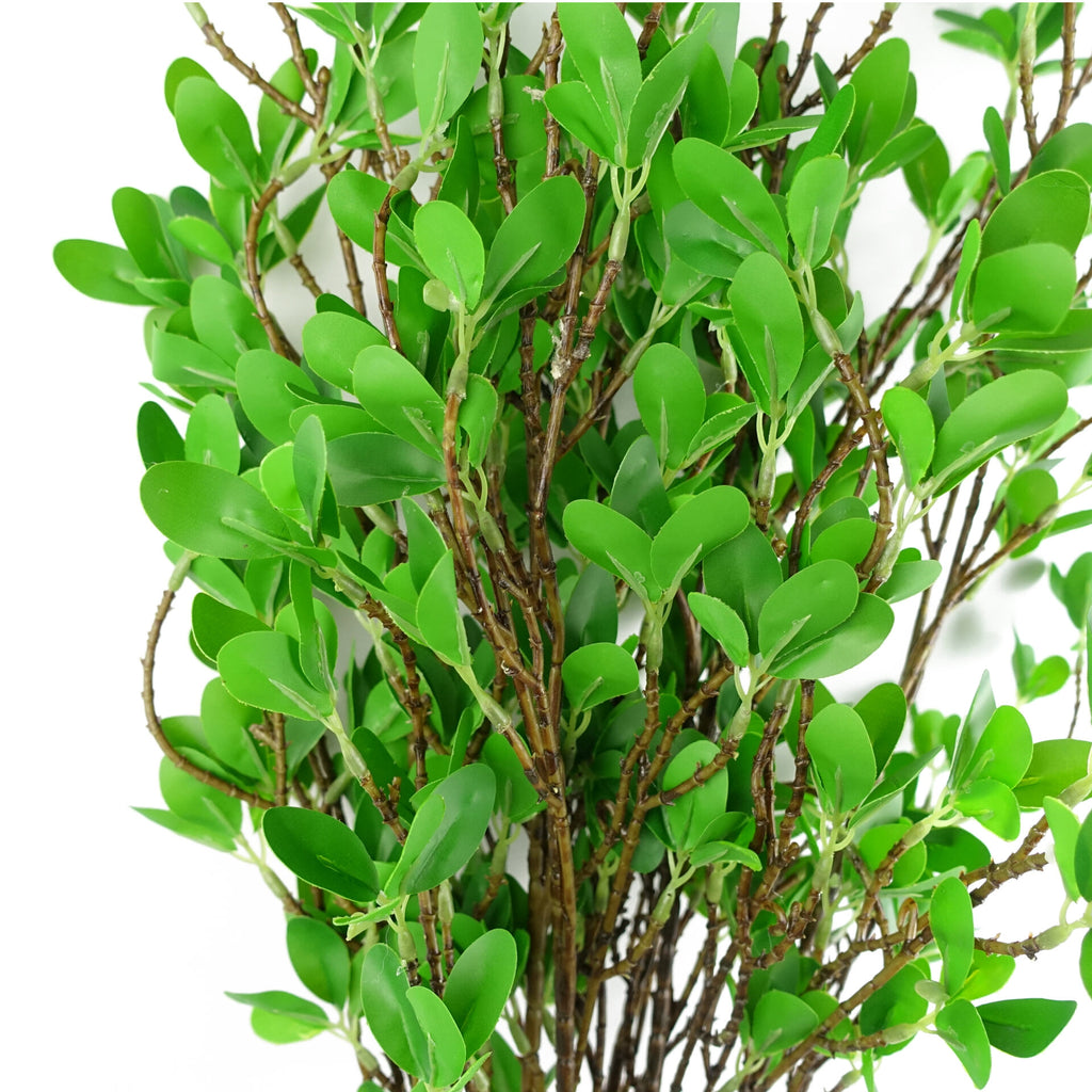 Pack of 6 x 100cm Mini Leaf Ficus Stem