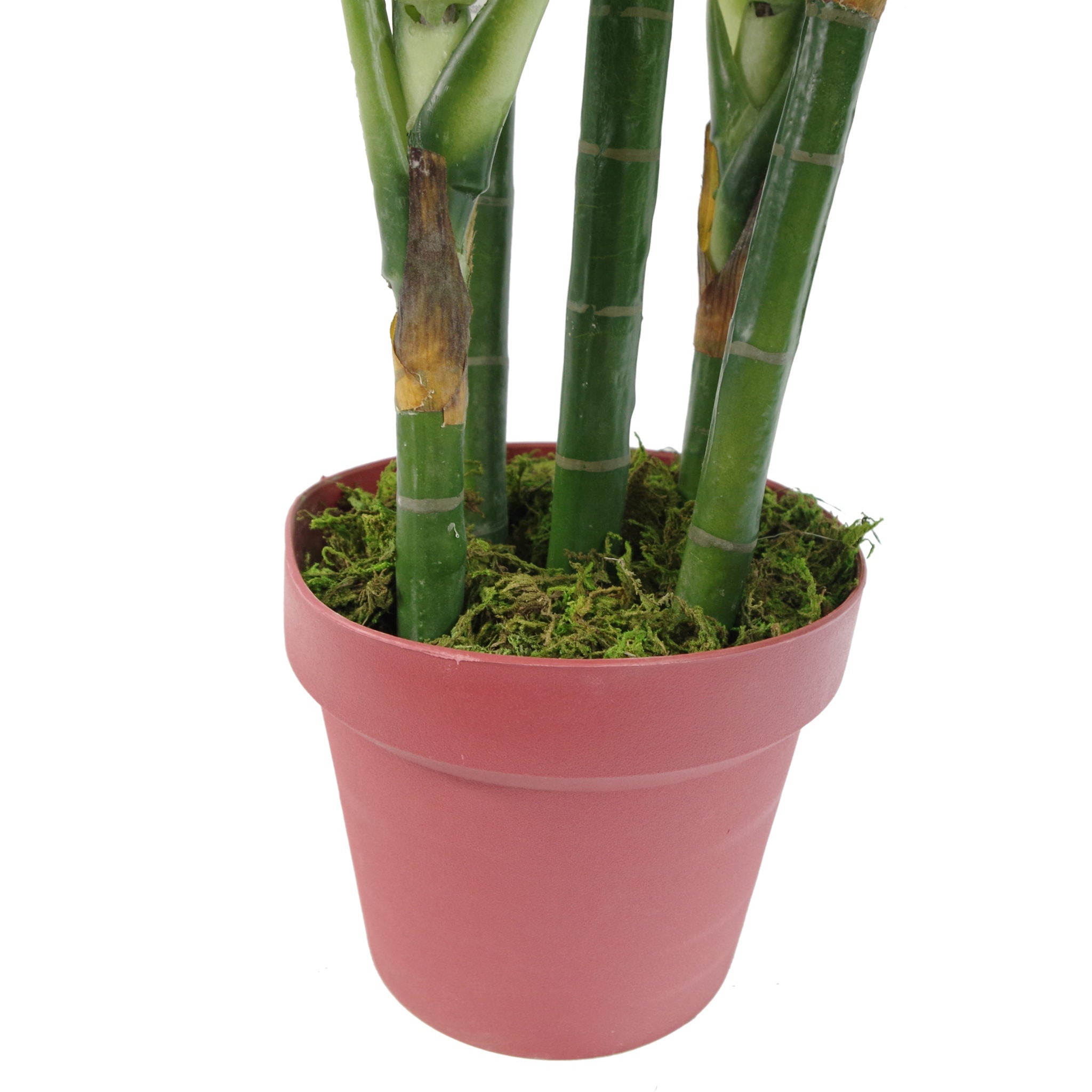 100cm Large Fox's Aglaonema (Spotted Evergreen) Tree Artificial Plant with Silver Metal Planter