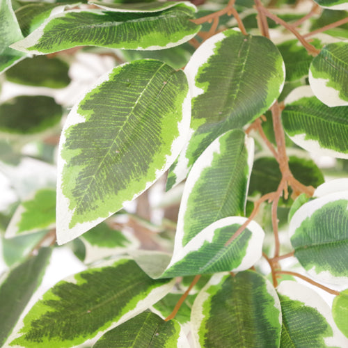 130cm LARGE Realistic White Edge Ficus Artificial Plant Tree Silver Metal Planter