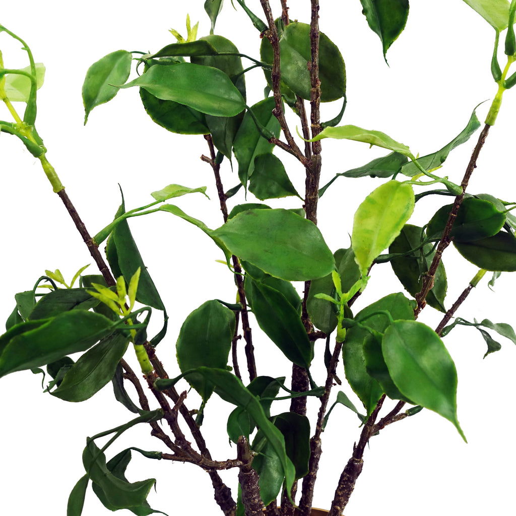60cm Artificial Banyan Bonsai Ficus Tree