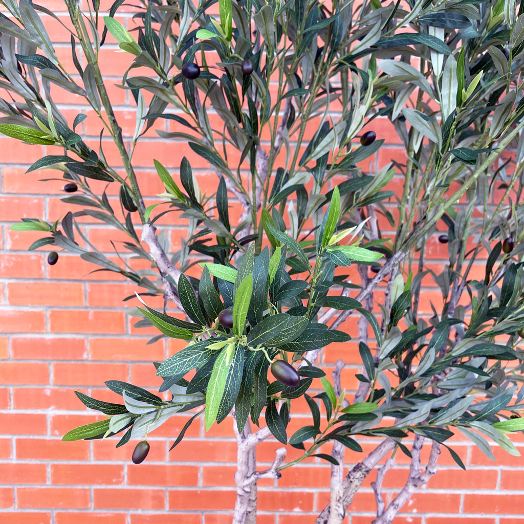 XXL Tree 2.5m (250cm) Width: 160 cm With decorative planter