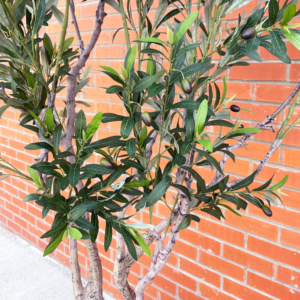 XXL Tree 2.5m (250cm) Width: 160 cm With decorative planter