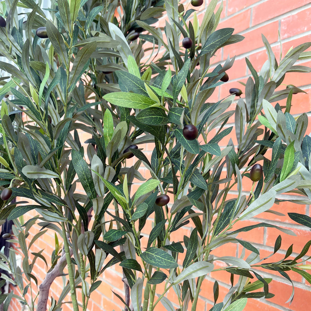 XXL Tree 2.5m (250cm) Width: 160 cm With decorative planter
