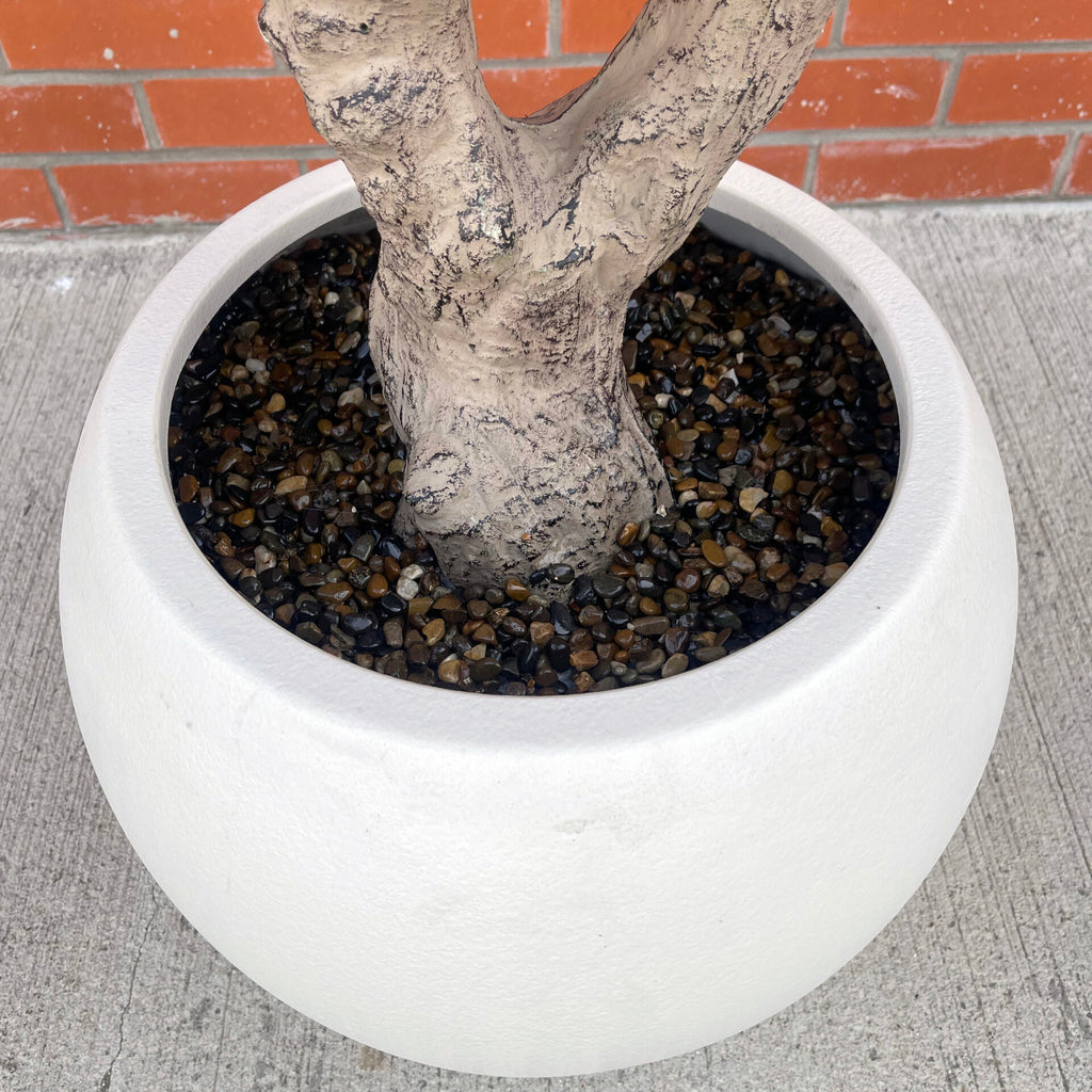 XXL Tree 2.5m (250cm) Width: 160 cm With decorative planter
