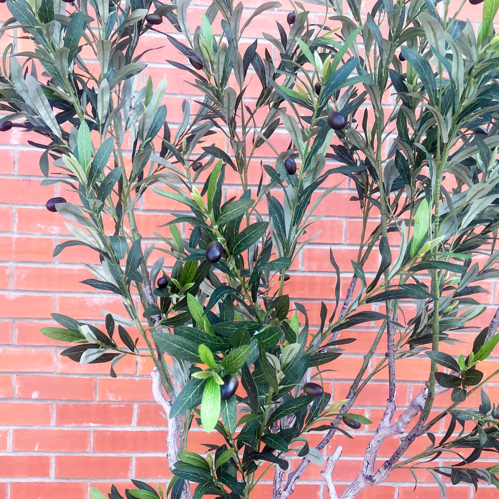 XXL Tree 2m (200cm) With decorative planter