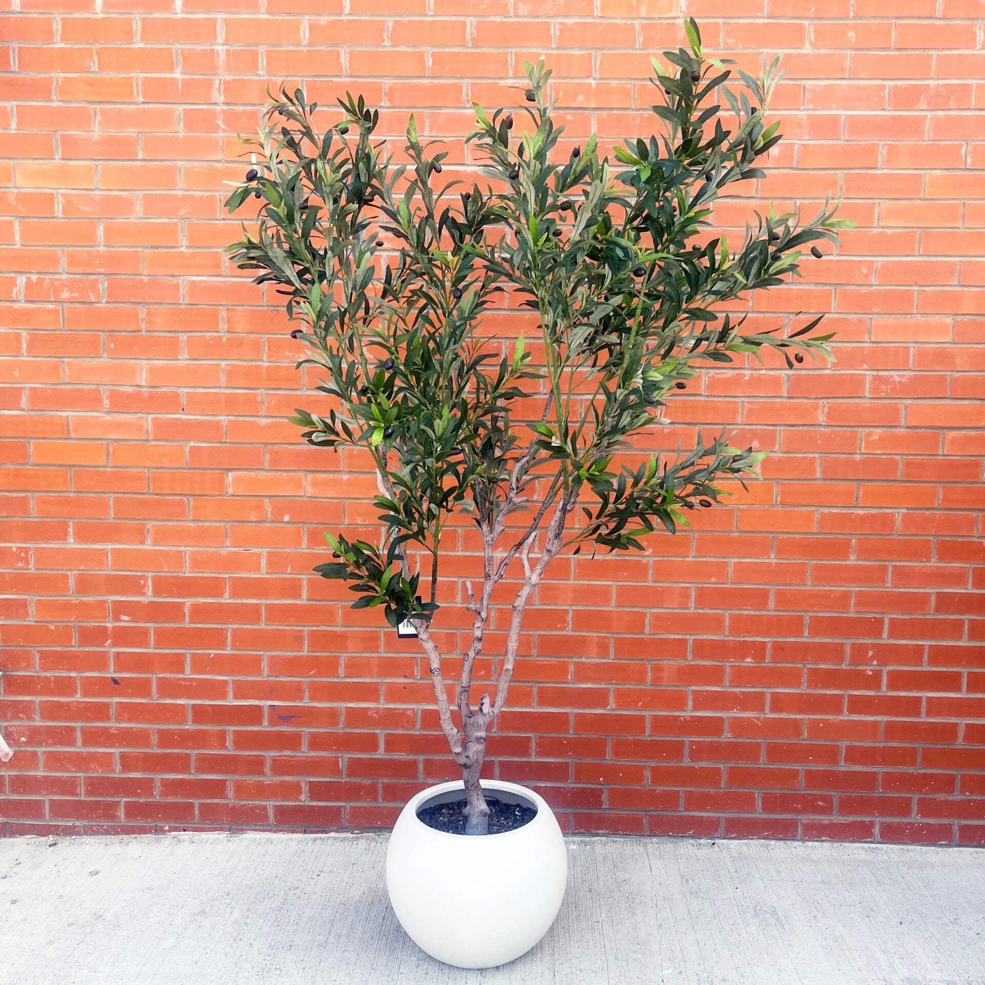 XXL Tree 2m (200cm) With decorative planter