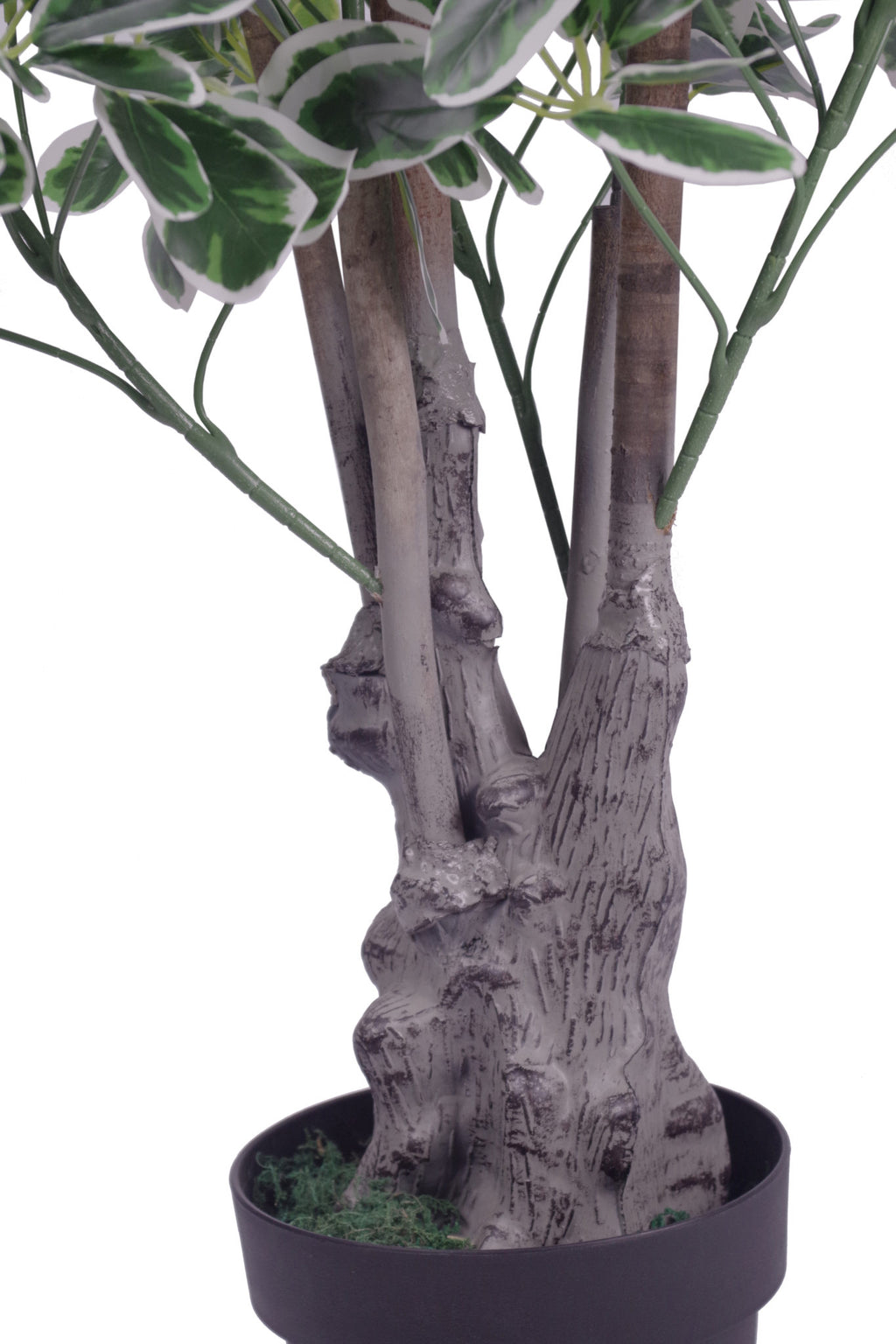 100cm Artificial Umbrella Tree Ficus Indoor Plant - Extra Large