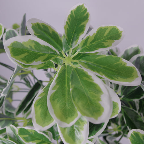 100cm Artificial Umbrella Tree Ficus Indoor Plant - Extra Large