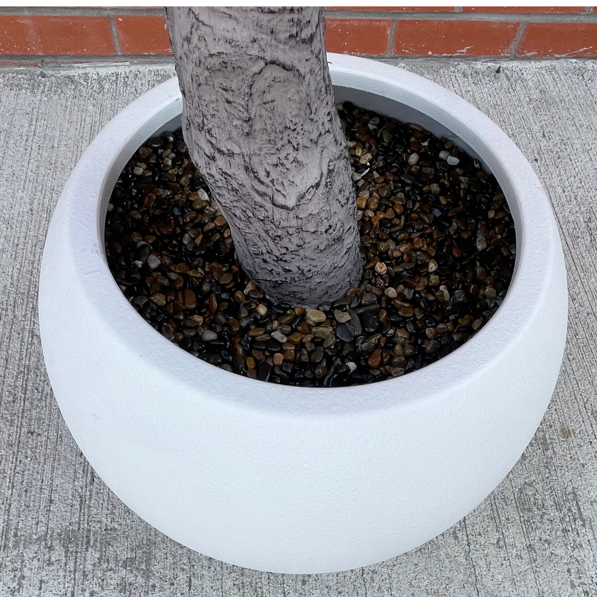XXL Tree 2.6m (260cm) With decorative planter