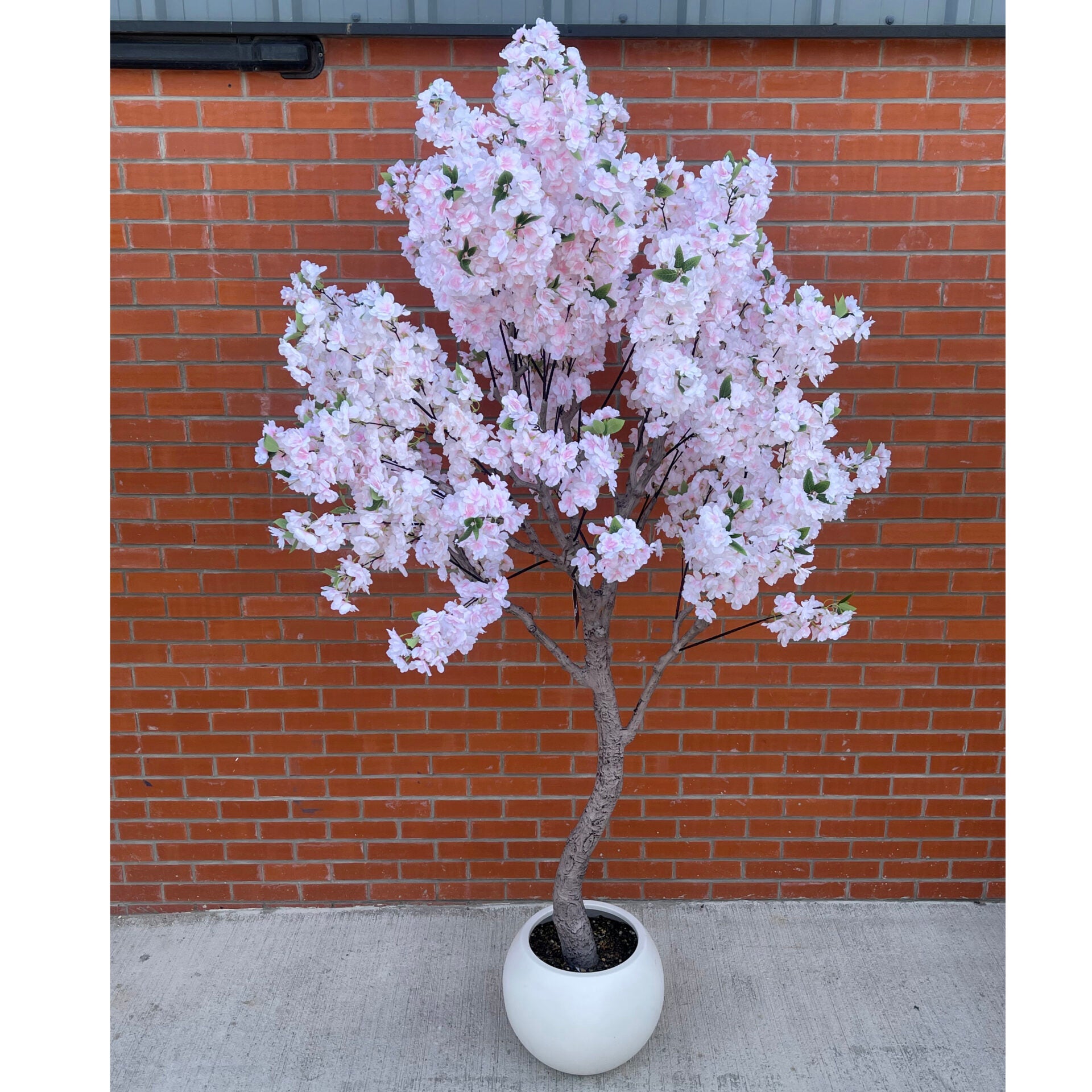 XXL Tree 2.6m (260cm) With decorative planter