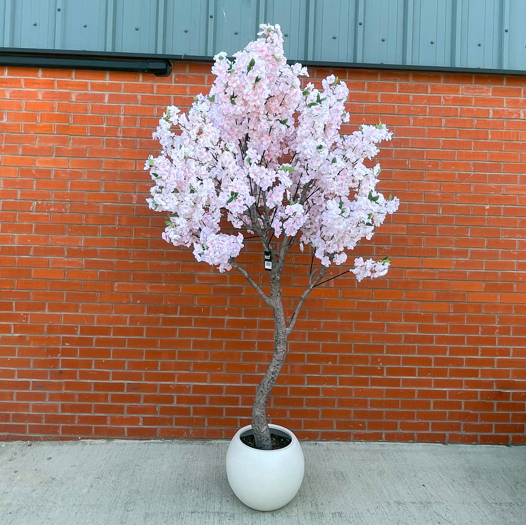 XXL Tree 2.6m (260cm) With decorative planter
