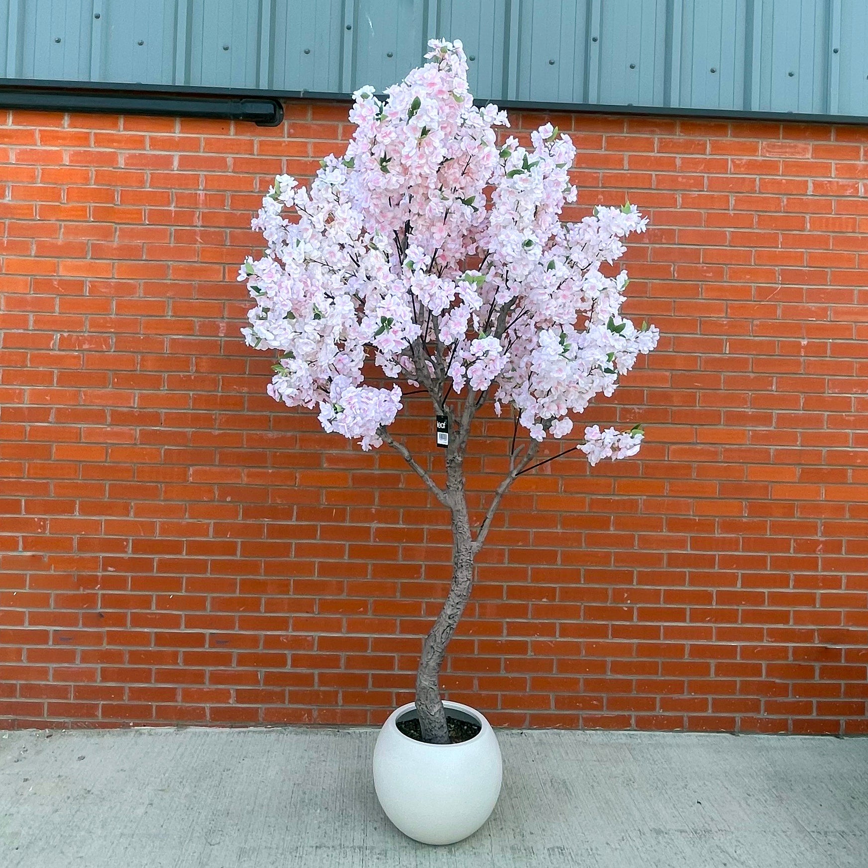 XXL Tree 2.6m (260cm) With decorative planter