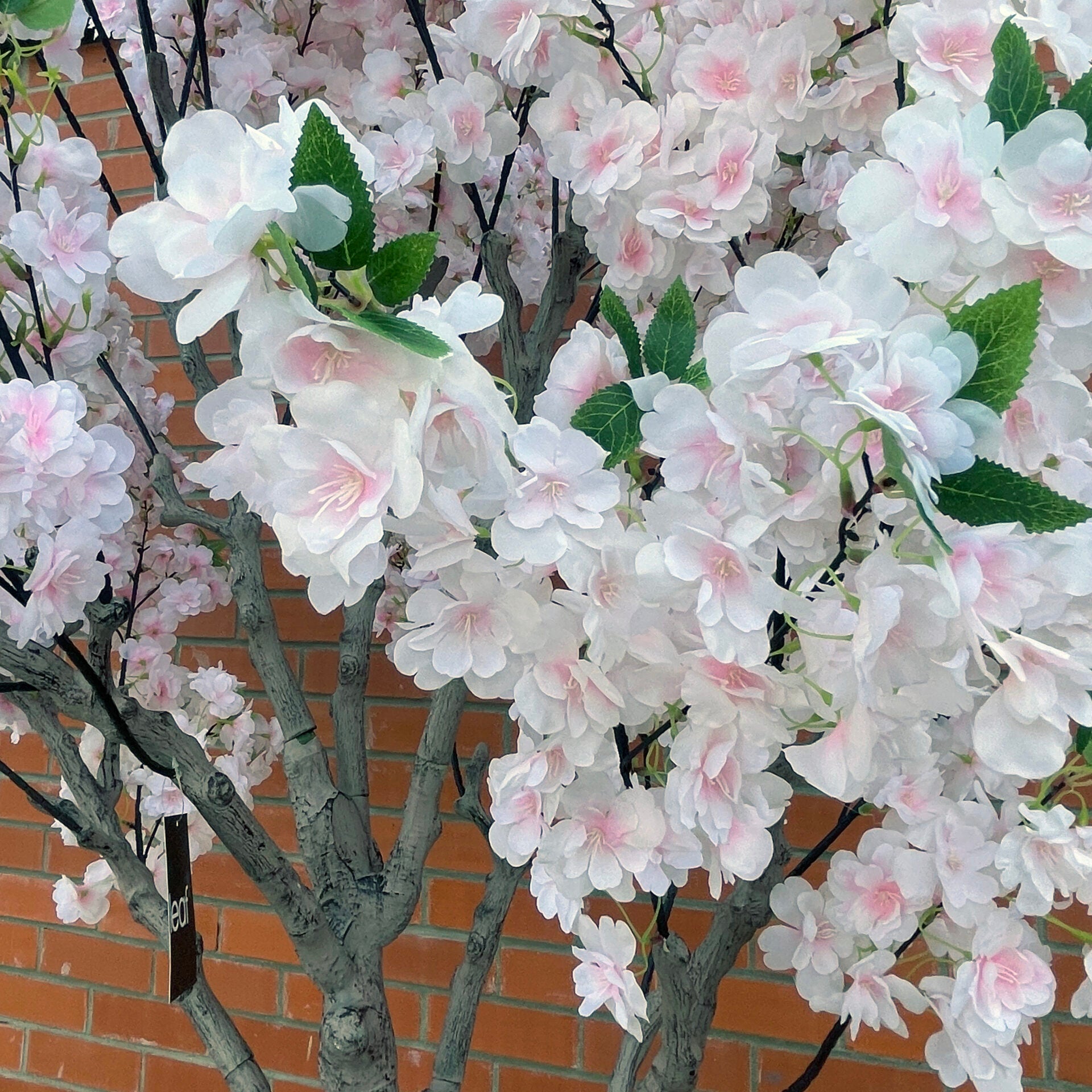 XXL Tree 2.6m (260cm) With decorative planter