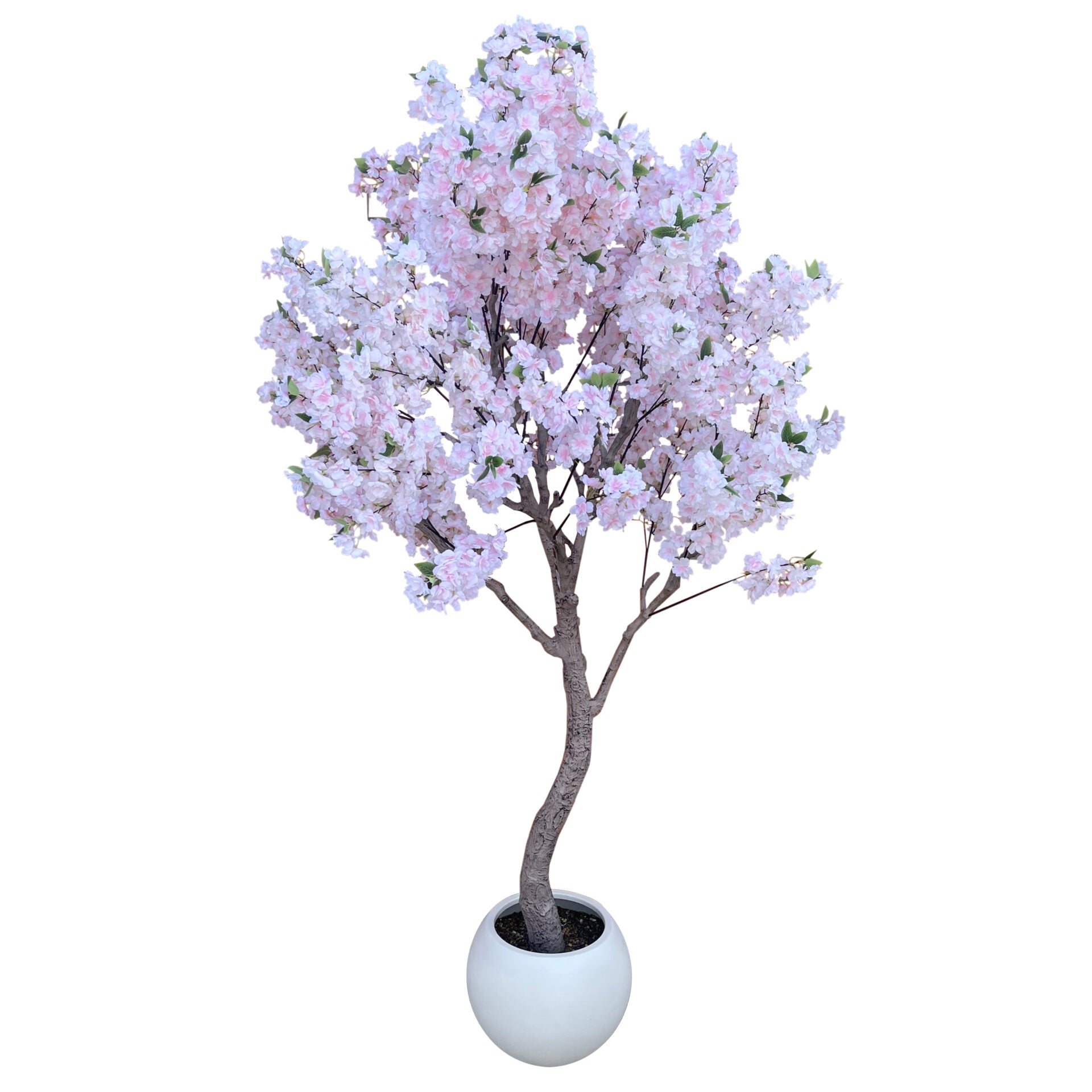 XXL Tree 2.6m (260cm) With decorative planter