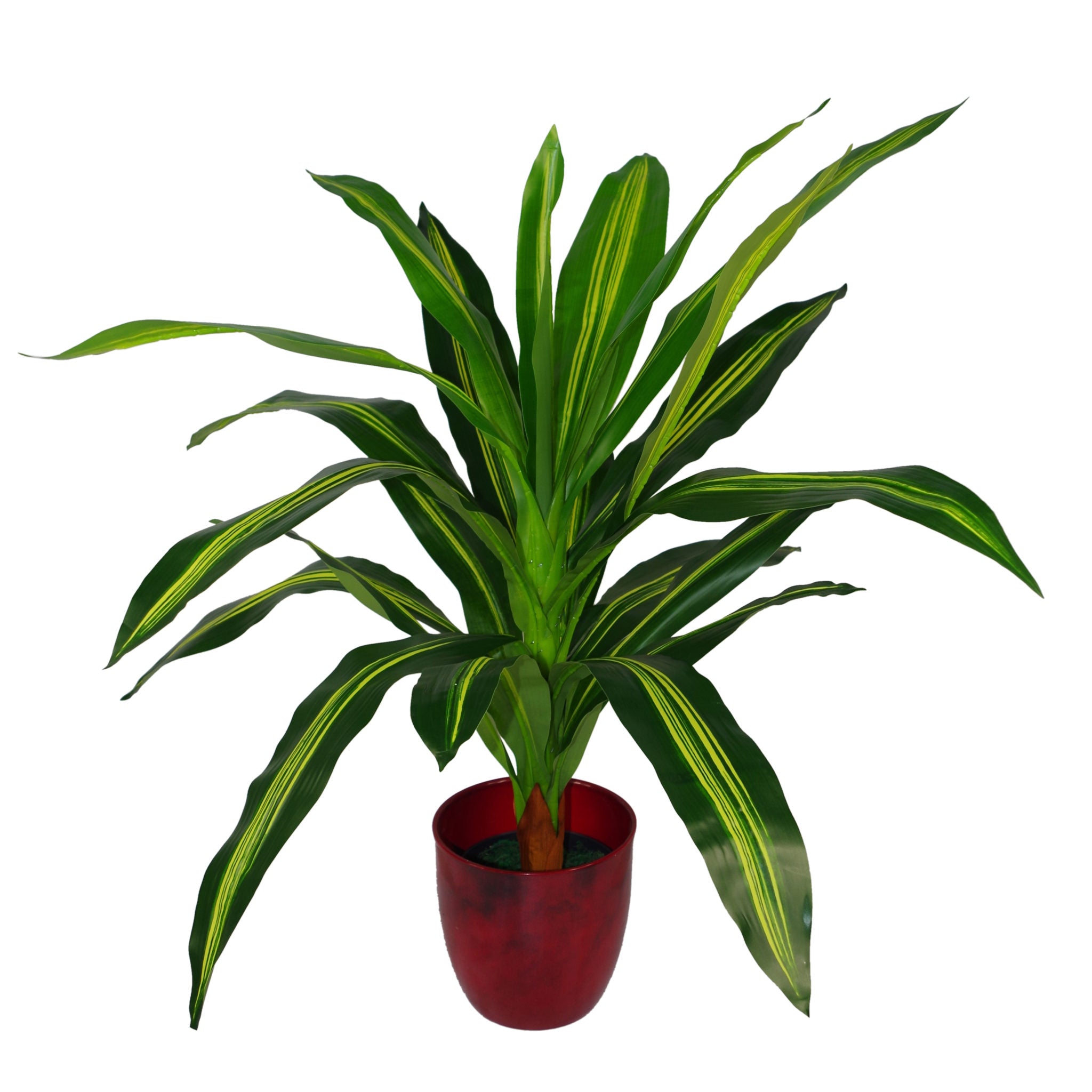 90cm Extra Wide Dracaena Variegated Large Artificial Dragon Plant Tree