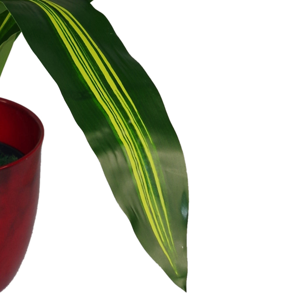 90cm Extra Wide Dracaena Variegated Large Artificial Dragon Plant Tree