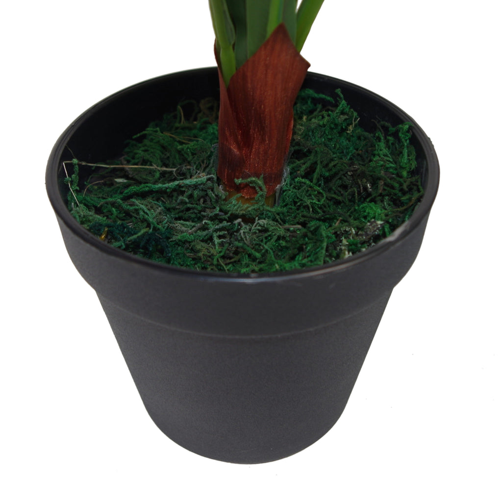 50cm Bushy Artificial Bird's Nest Fern Plant