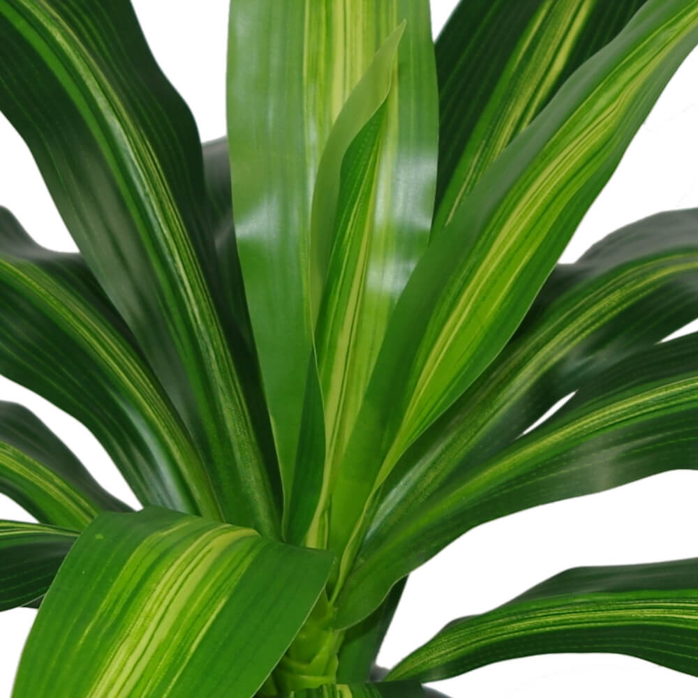 40cm Artificial Dracaena Pot Plant - Variegated Leaves