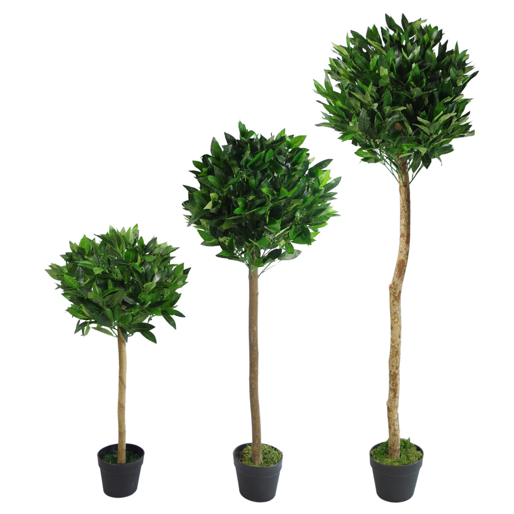 Pair of 120cm (4ft) Plain Stem Artificial Topiary Bay Laurel Ball Trees