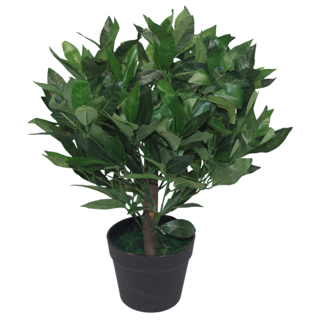 Pair of 50cm Dwarf Artificial Bay Trees Laurel Topiary Bushes