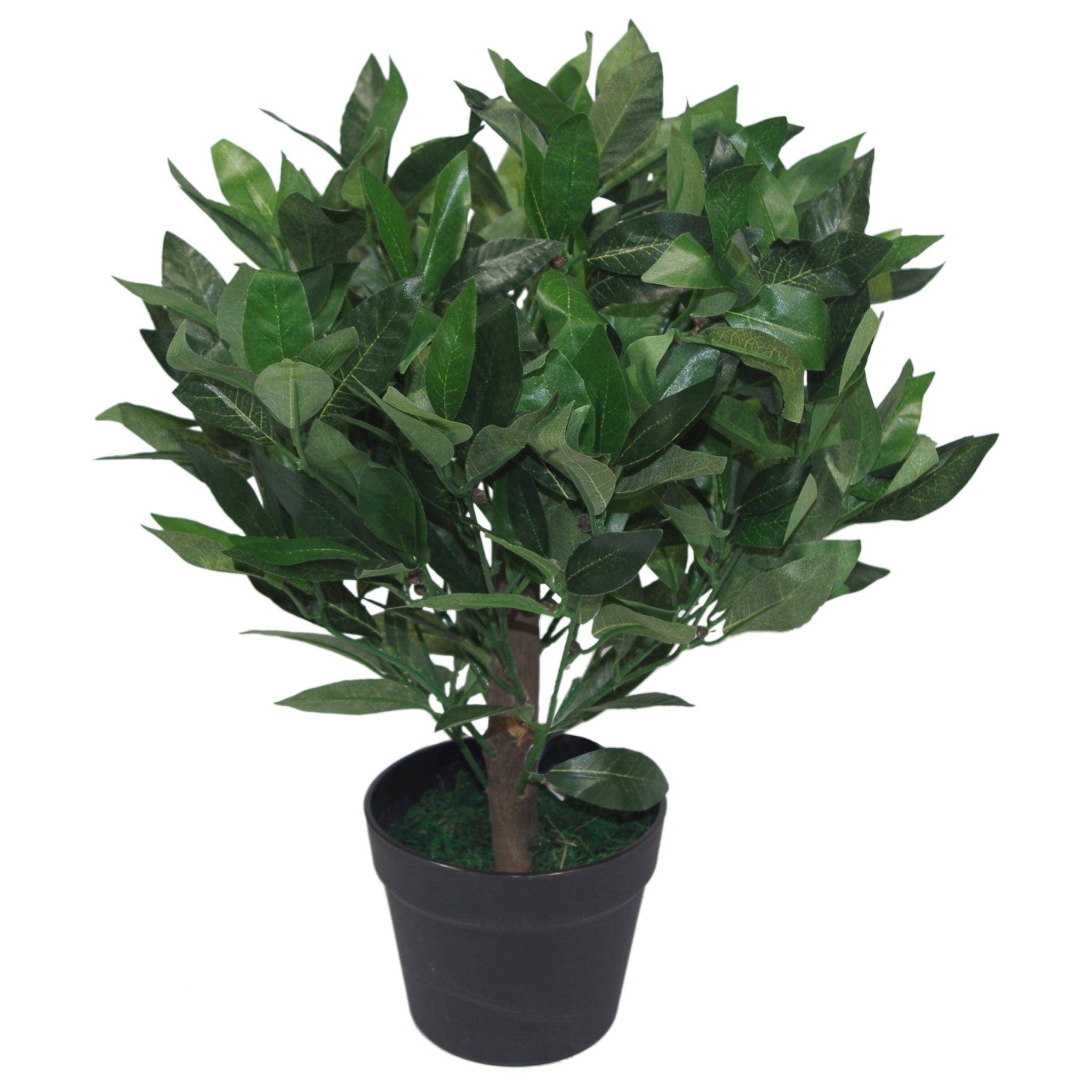 Pair of 50cm Dwarf Artificial Bay Trees Laurel Topiary Bushes
