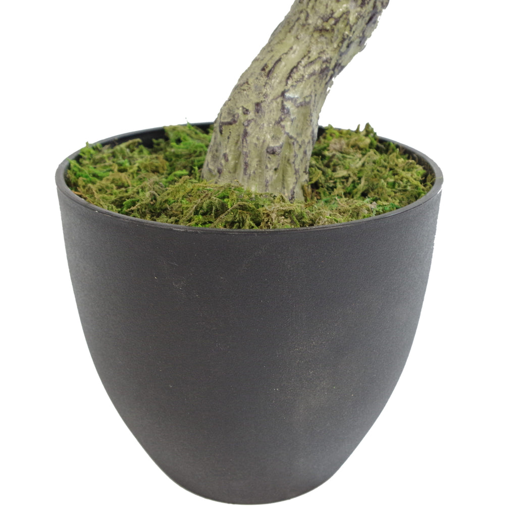 75cm Artificial Podocarpus Tree With Black Pot - Premium Range