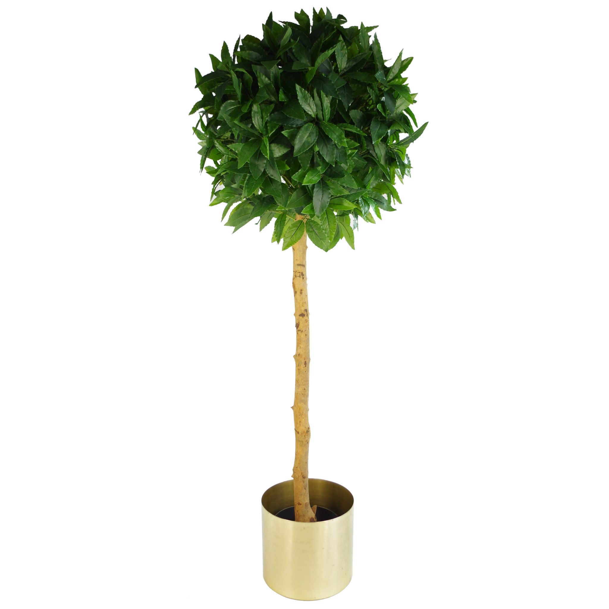 Leaf Metal Planter Plant Pot with Brushed Brass Finish 20 x 18cm