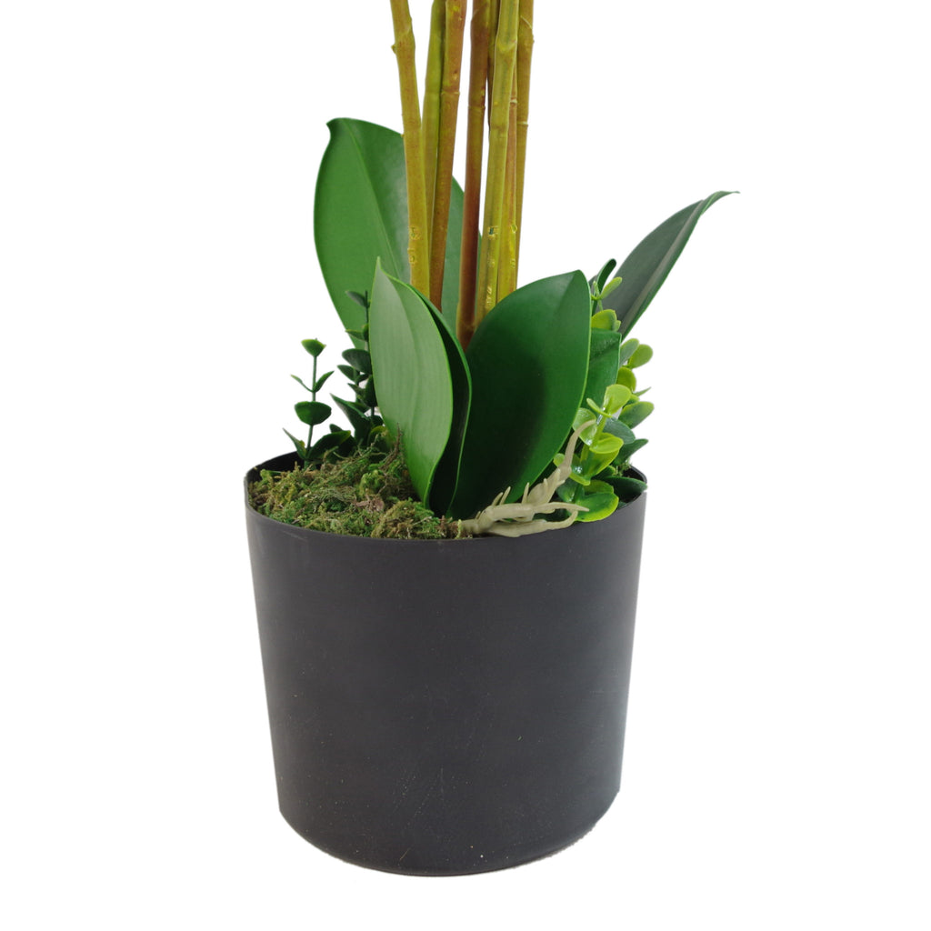 85cm Artificial Deluxe Bush Orchid - Dark Pink with Black Pot