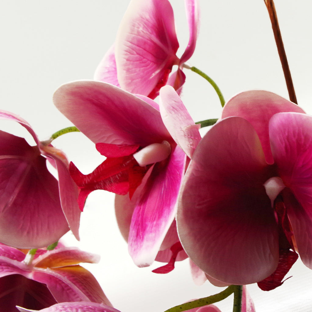 70cm Artificial Orchid Dark Pink with Silver Ceramic Planter